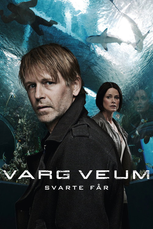 Varg Veum - Svarte får film afişi