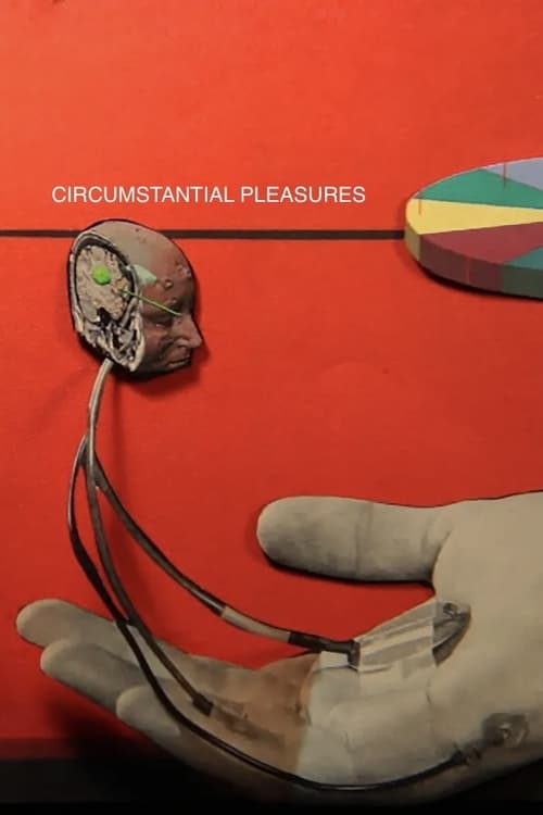 Circumstantial Pleasures film afişi