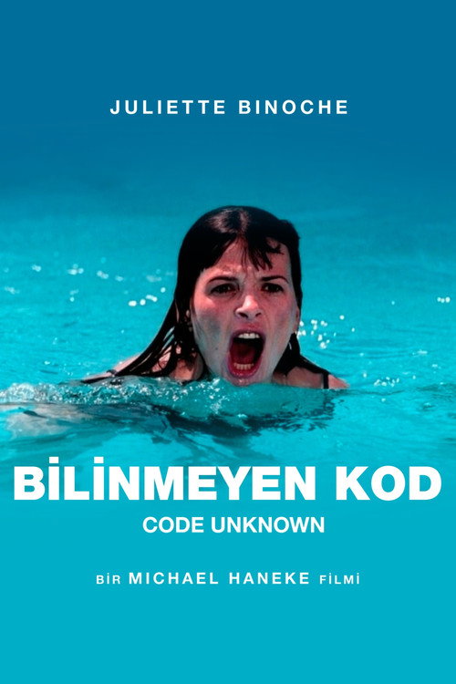 Code inconnu film afişi