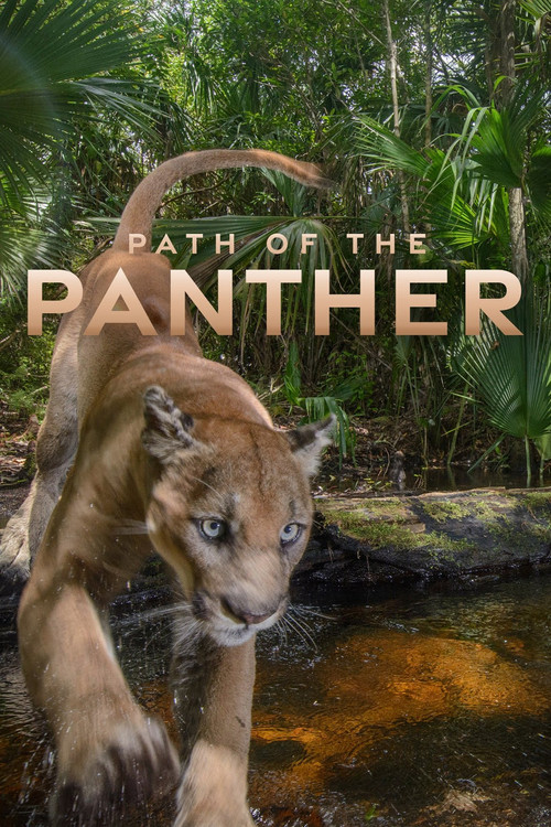 Path of the Panther film afişi