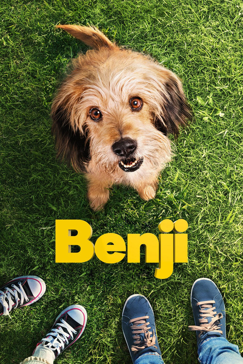 Benji film afişi