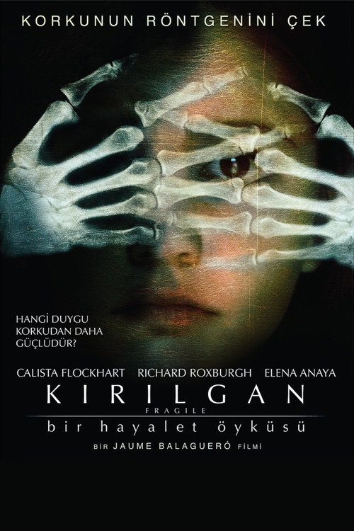 Kırılgan film afişi