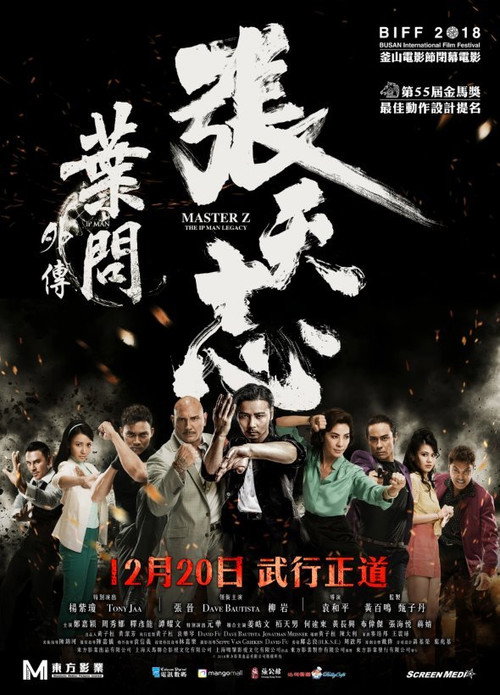 Ip Man: Cheung Tin Chi film afişi
