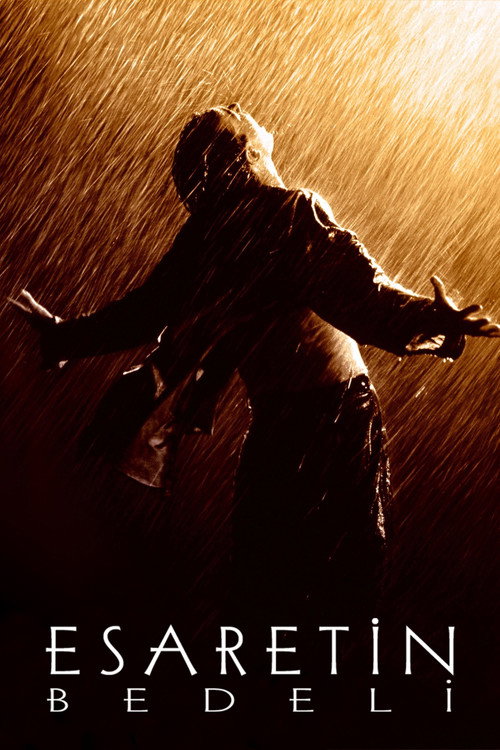 The Shawshank Redemption film afişi