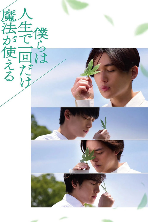 僕らは人生で一回だけ魔法が使える film afişi
