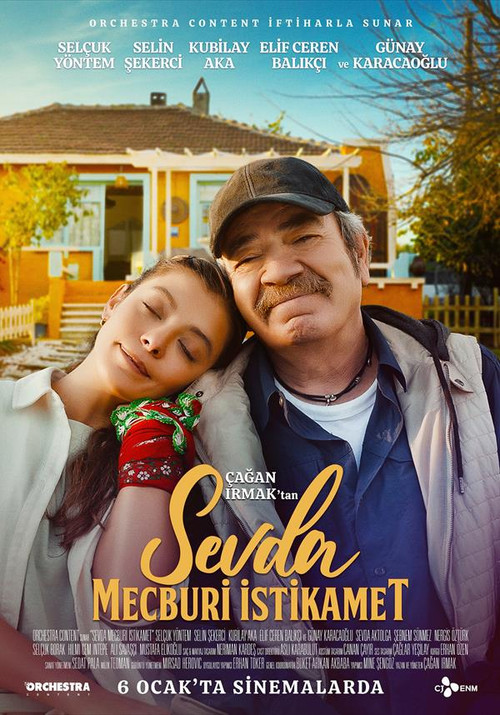 Sevda Mecburi İstikamet film afişi