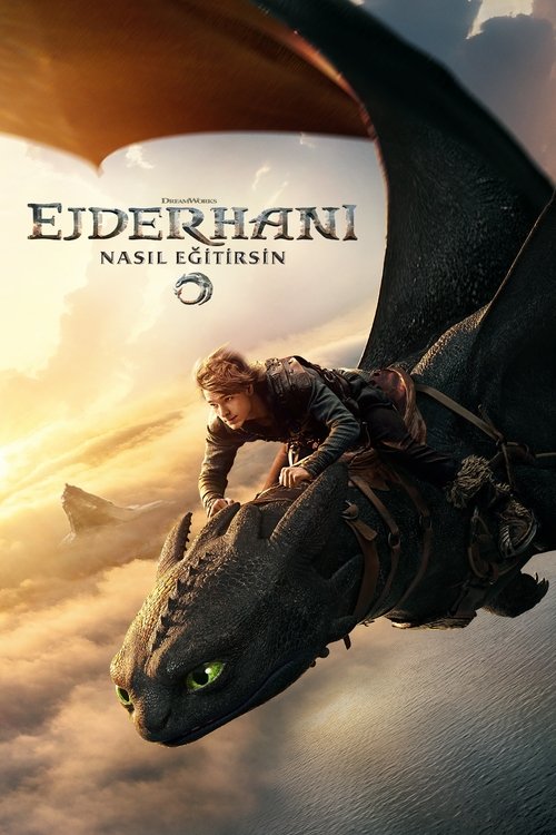 How to Train Your Dragon film afişi