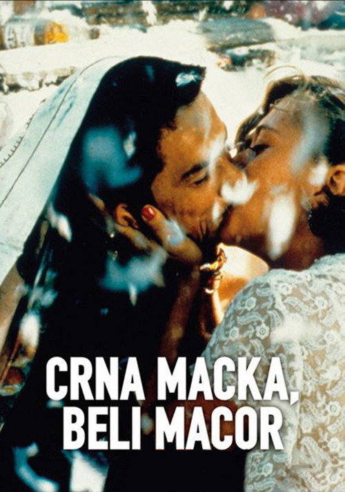 Crna macka, beli macor film afişi
