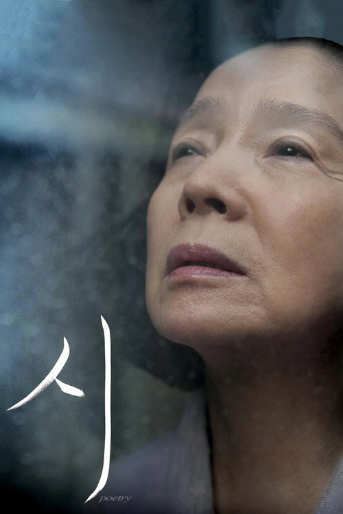 Shi film afişi