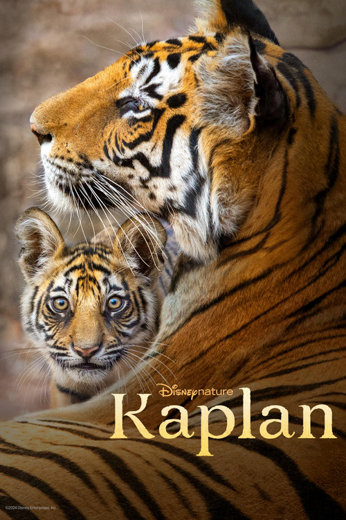 Tiger film afişi