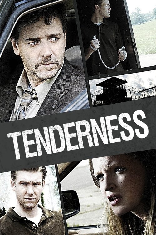 Tenderness film afişi