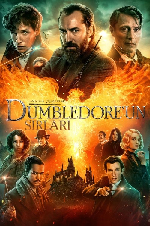 Fantastic Beasts: The Secrets of Dumbledore (2022) film afişi