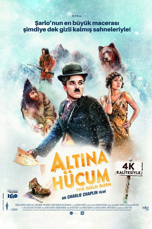 Altına Hücum film afişi