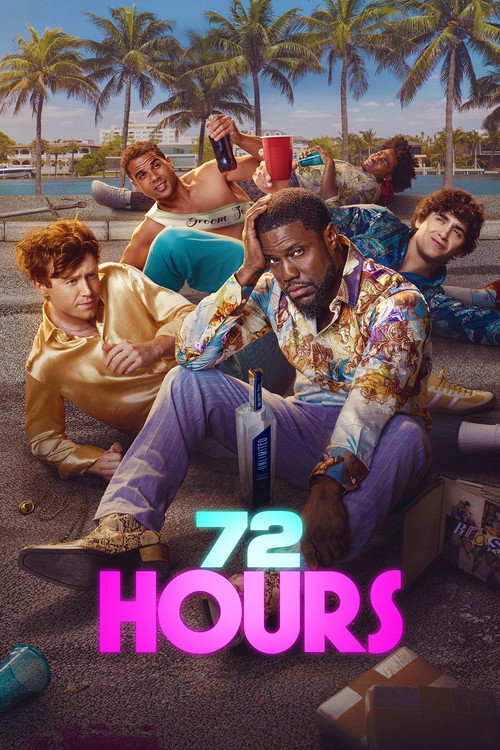 72 HOURS film afişi