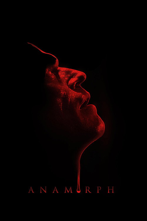 Anamorph film afişi