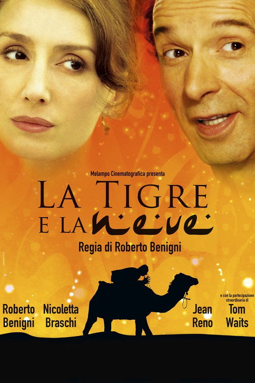 La tigre e la neve film afişi