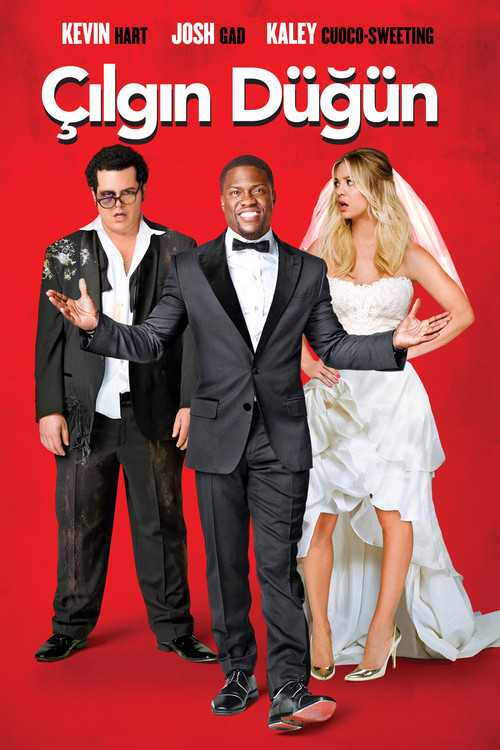 The Wedding Ringer film afişi