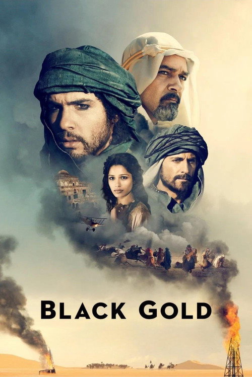Kara Altın film afişi