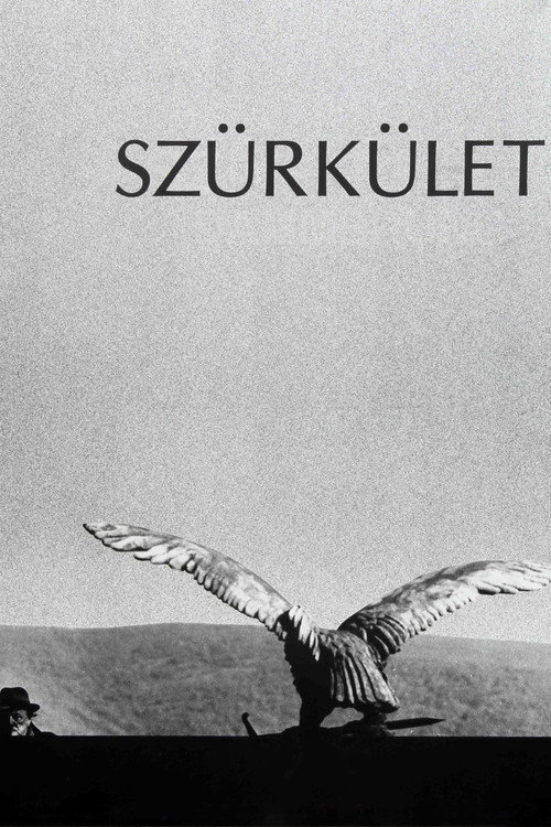 Szürkület film afişi