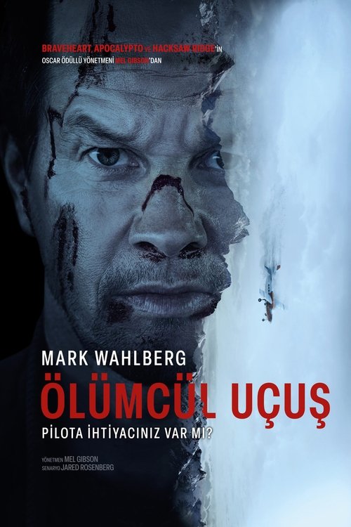 Flight Risk film afişi