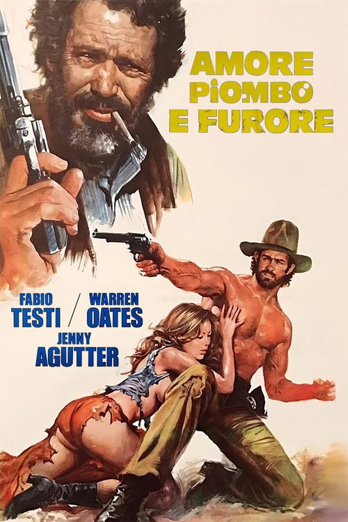 Amore, piombo e furore film afişi
