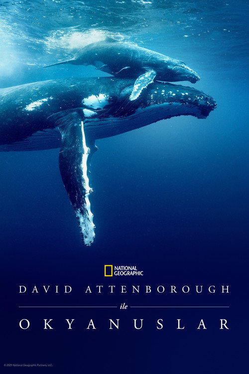 Ocean with David Attenborough film afişi