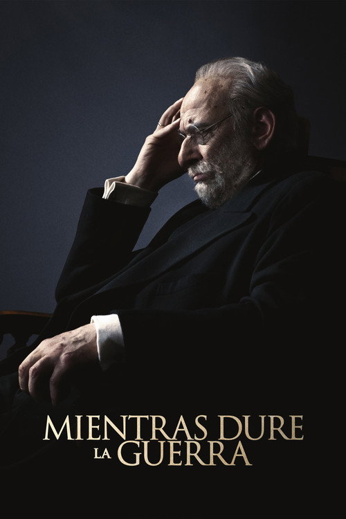 Mientras dure la guerra film afişi