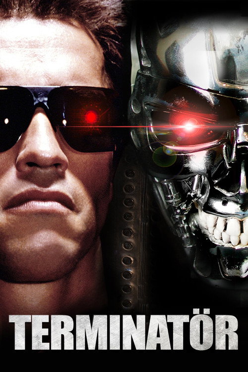 Terminatör film afişi