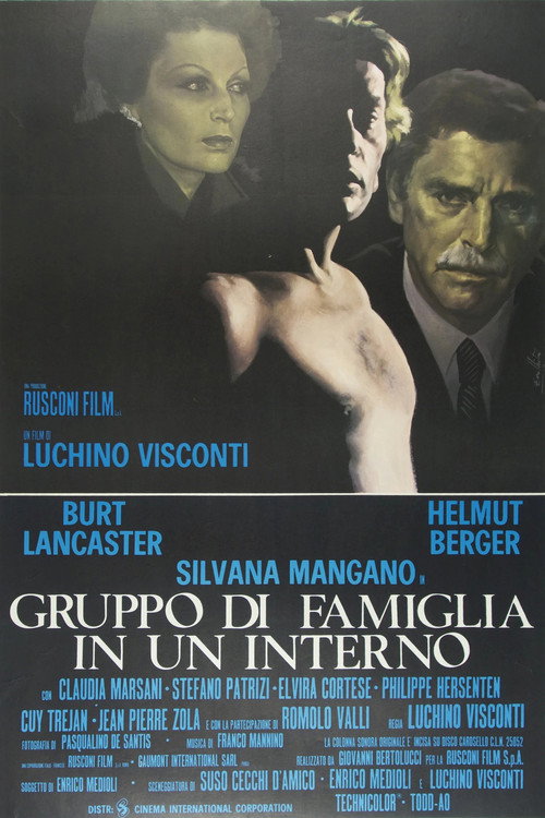 Gruppo di Famiglia in un Interno film afişi