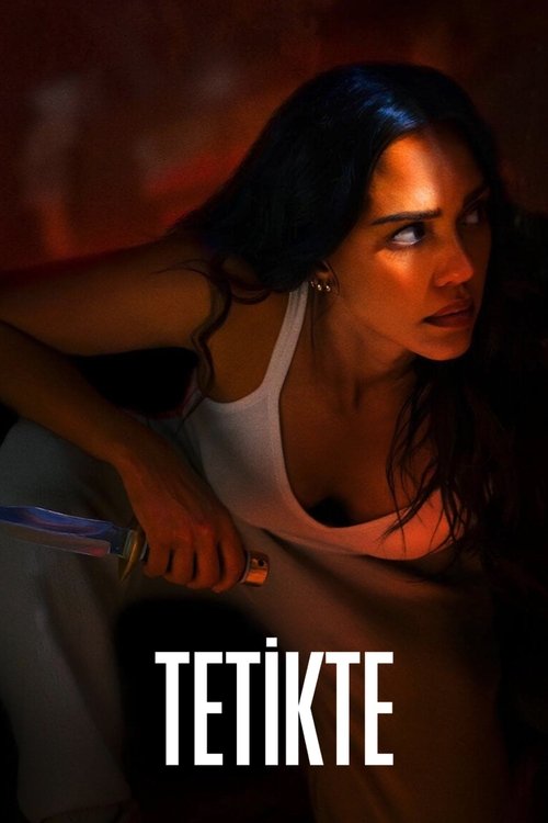 Trigger Warning film afişi