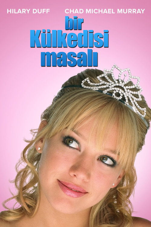 A Cinderella Story film afişi