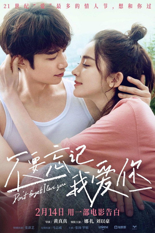 不要忘记我爱你 film afişi