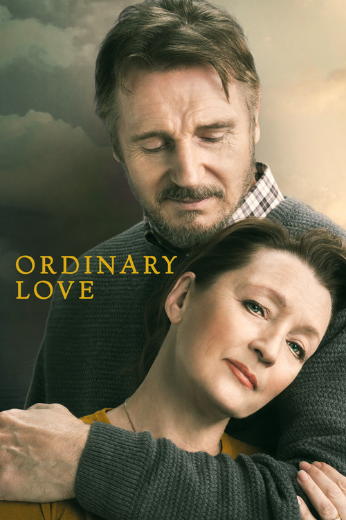 Ordinary Love film afişi