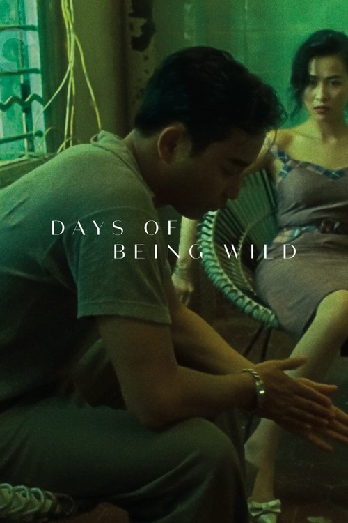 Days of Being Wild film afişi