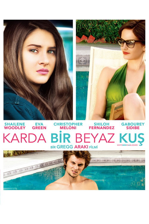 White Bird in a Blizzard film afişi