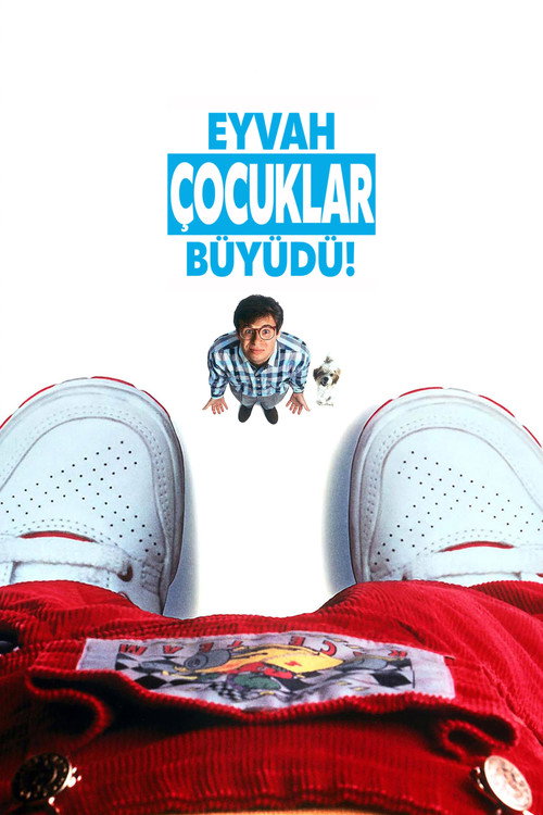 Honey, I Blew Up the Kid film afişi