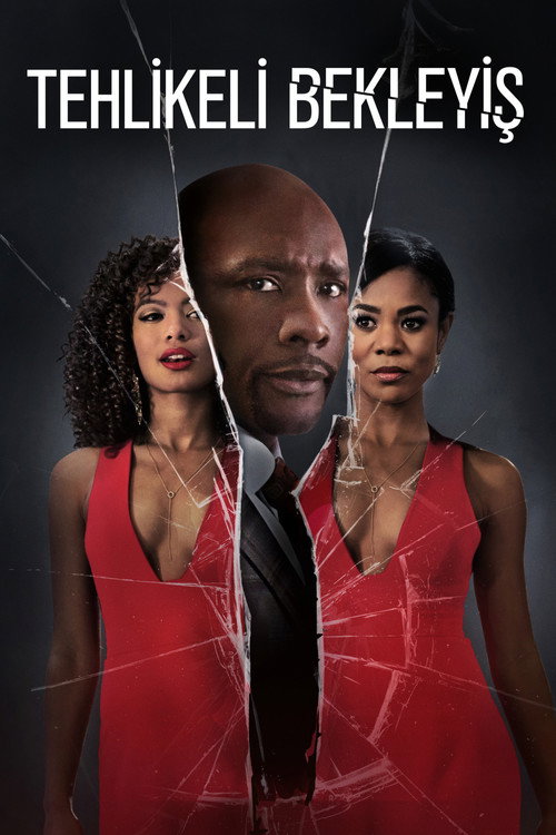 When the Bough Breaks film afişi