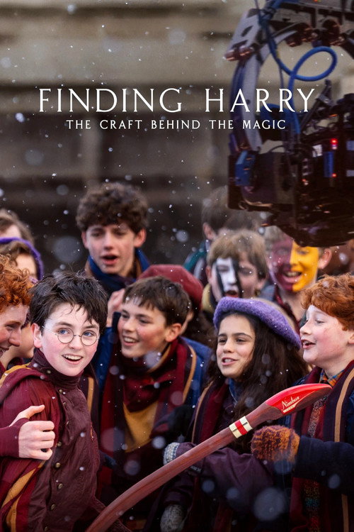 Finding Harry: The Craft Behind the Magic film afişi