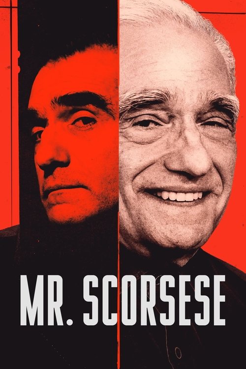 Mr. Scorsese dizi afişi