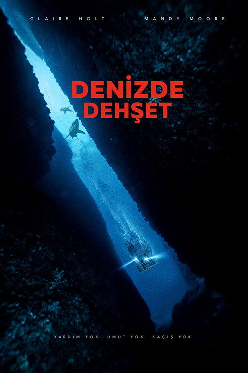 Denizde Dehşet film afişi