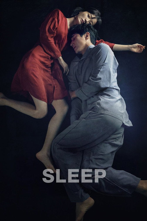 잠 film afişi