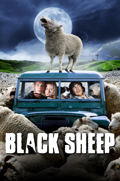 Black Sheep izle film afişi