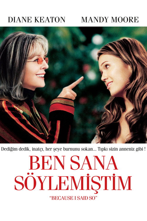 Because I Said So film afişi
