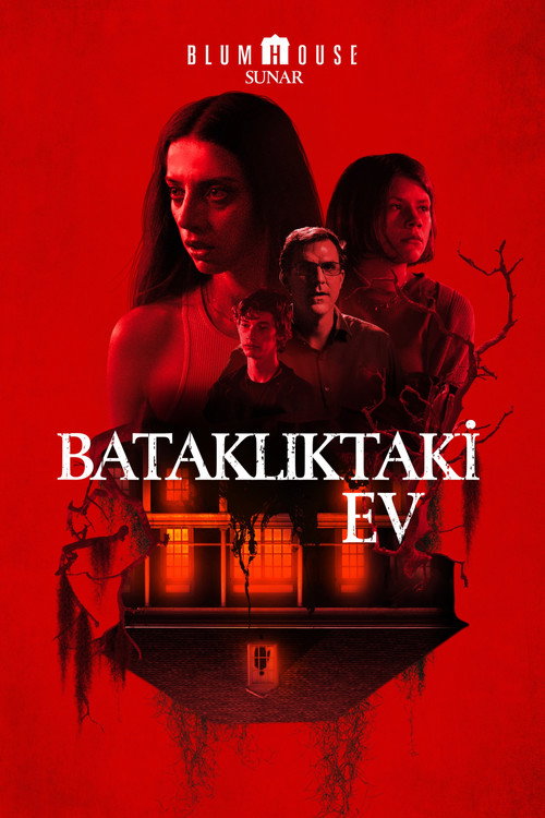 A House on the Bayou film afişi