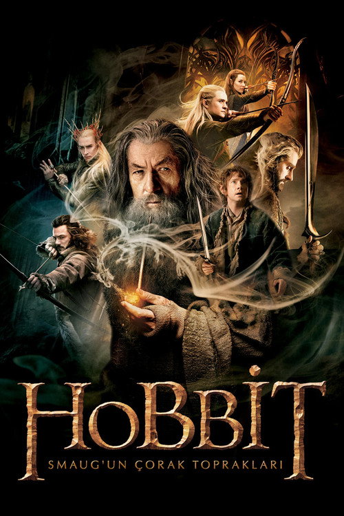 The Hobbit: The Desolation of Smaug film afişi