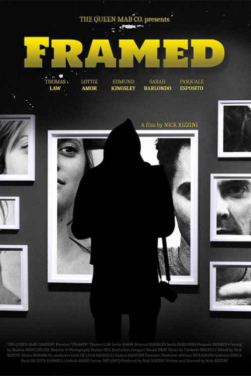 Framed film afişi