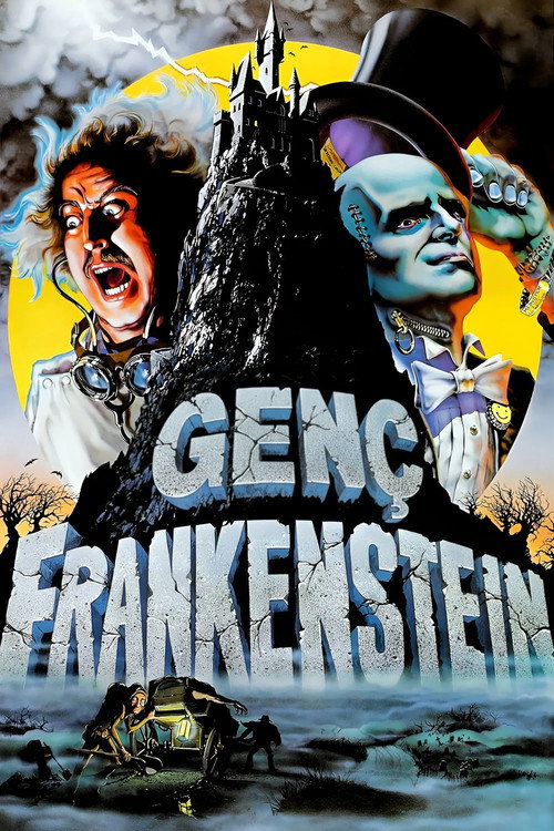 Young Frankenstein film afişi