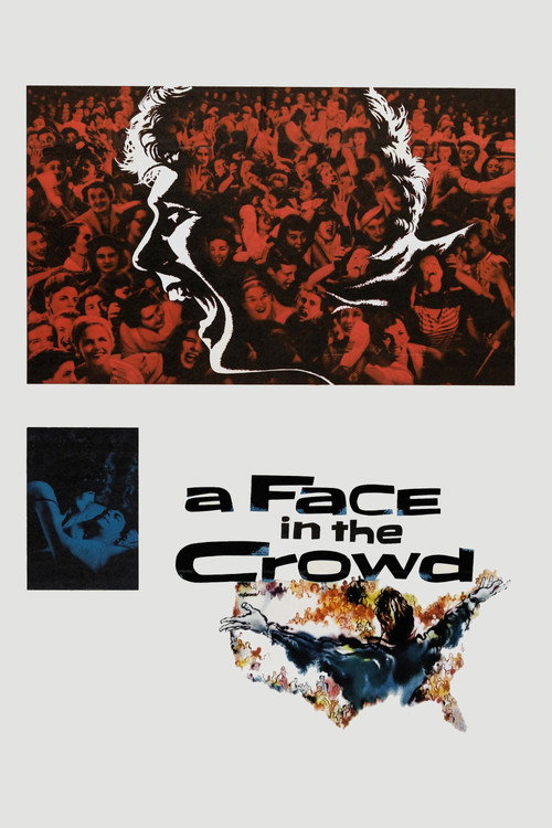 A Face in the Crowd film afişi