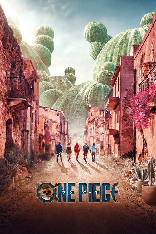 One Piece dizi afişi