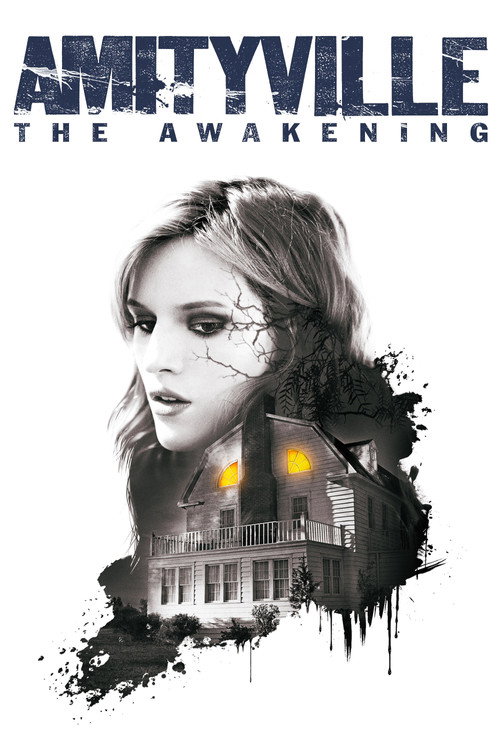 Amityville: Uyanış film afişi